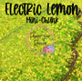 ELECTRIC LEMON Mini-Chunk