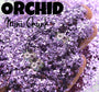 ORCHID Mini-Chunk